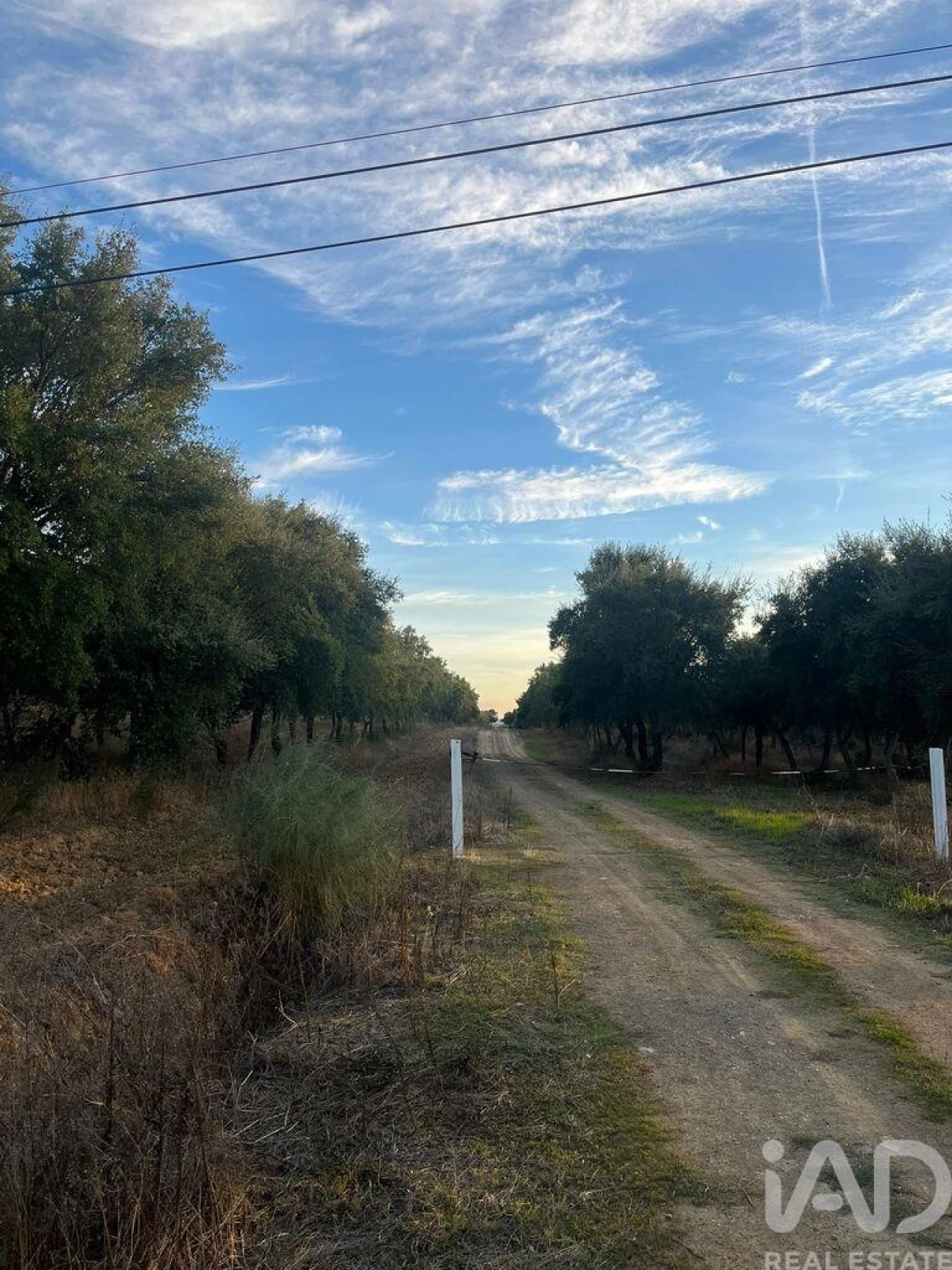 Quinta T2 para Venda em Selmes Foto 10