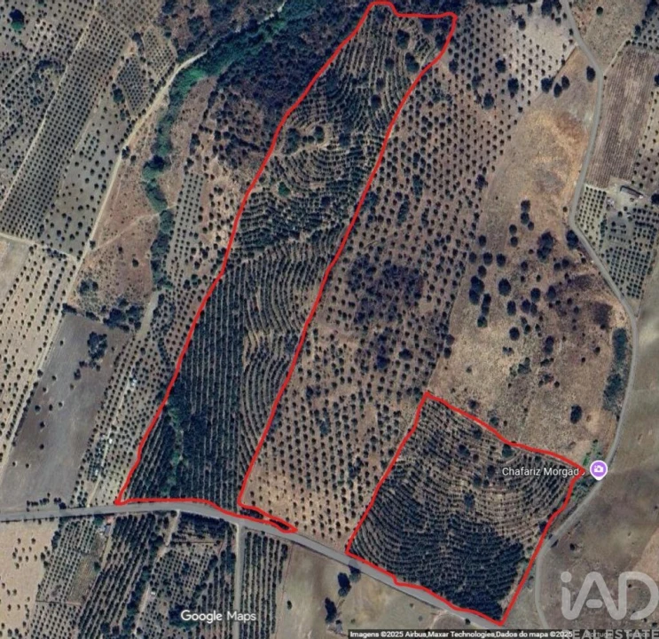 Quinta T2 para Venda em Selmes Foto 12