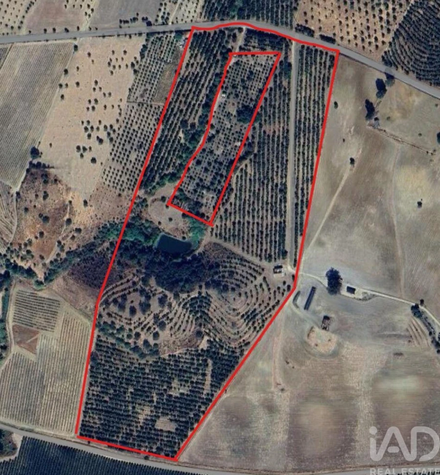 Quinta T2 para Venda em Selmes Foto 13