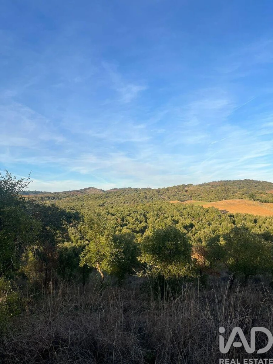 Quinta T2 para Venda em Selmes Foto 9