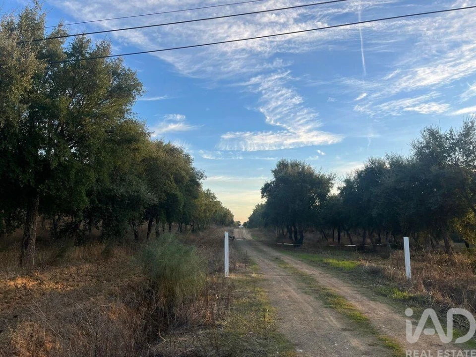 Quinta T2 para Venda em Selmes Foto 6