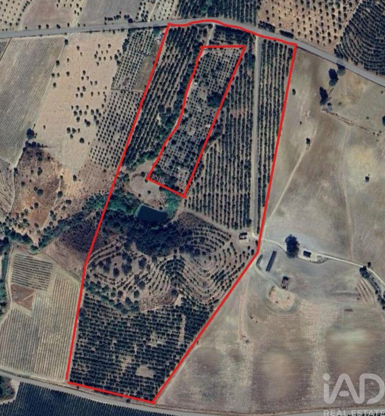 Quinta T2 para Venda em Selmes Foto 13