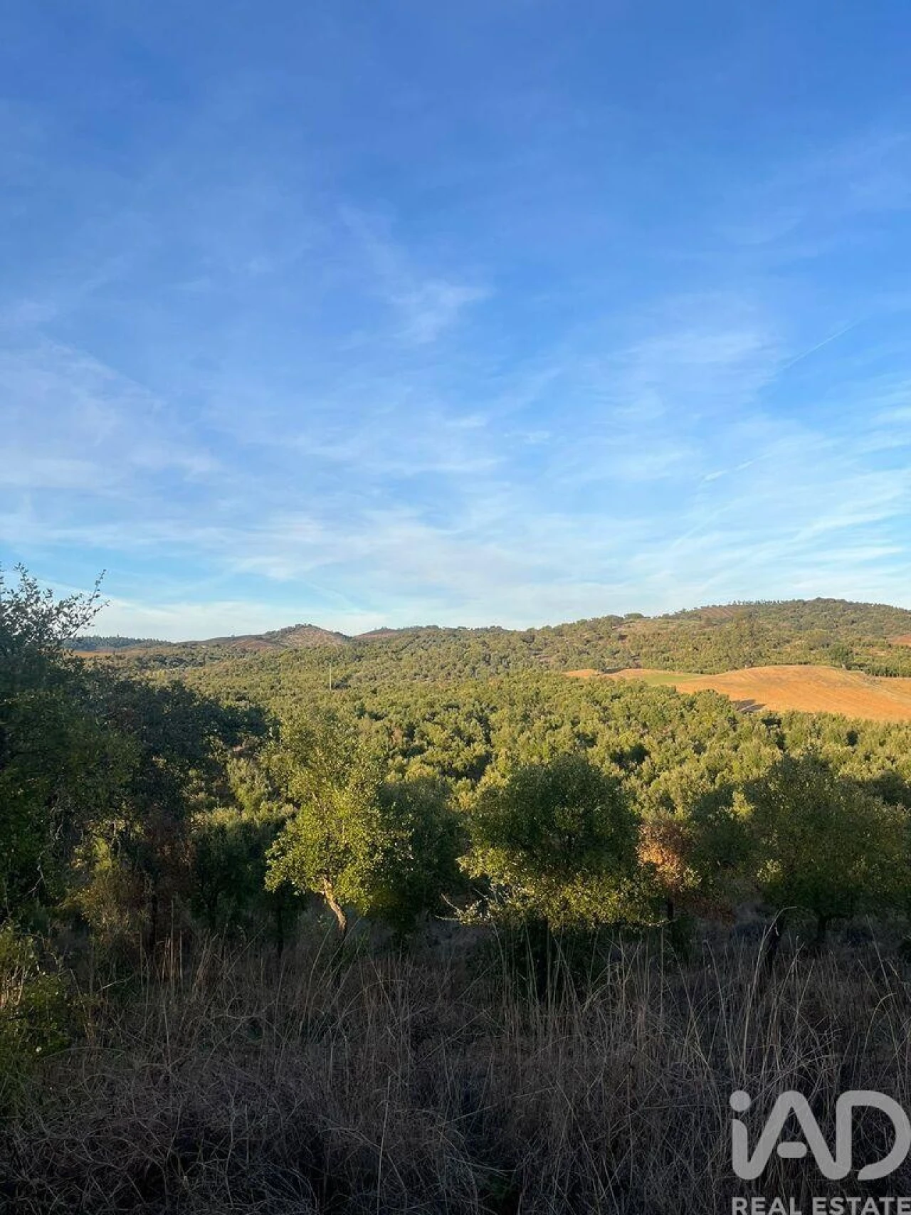 Quinta T2 para Venda em Selmes Foto 9