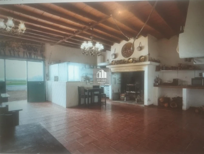 Quinta T17 para Venda em São João Baptista Foto 23