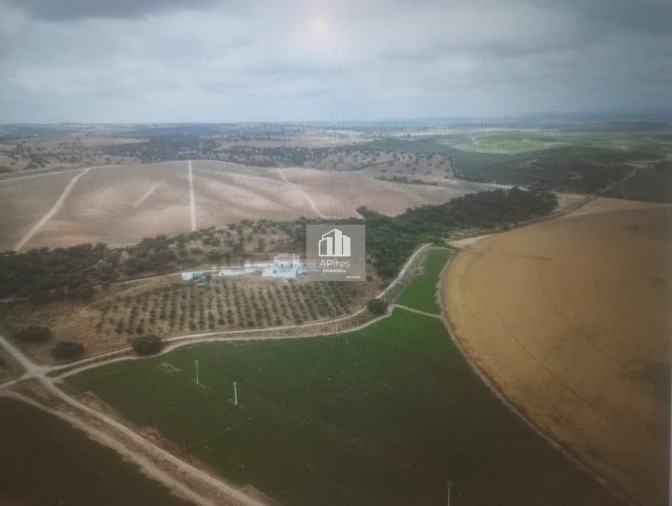 Quinta T17 para Venda em São João Baptista Foto 20