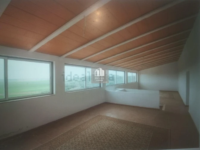 Quinta T17 para Venda em São João Baptista Foto 19