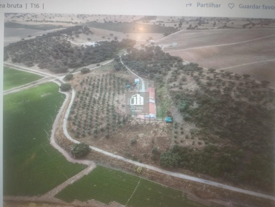 Quinta T17 para Venda em São João Baptista Foto 21