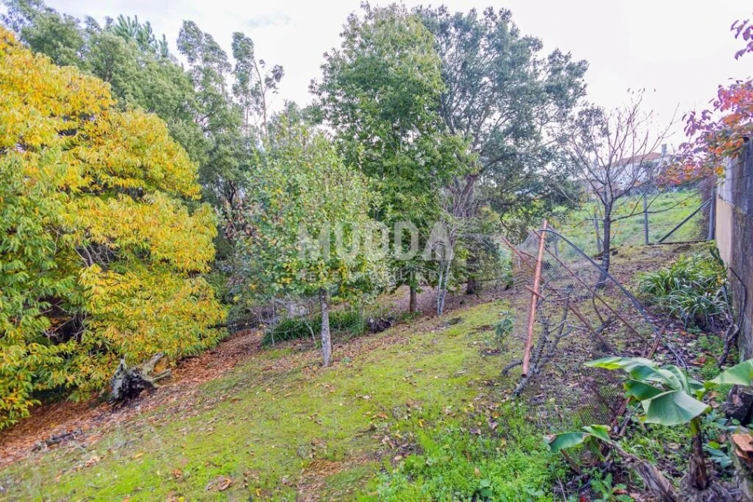 Moradia T4 para Venda em Escapães Foto 41