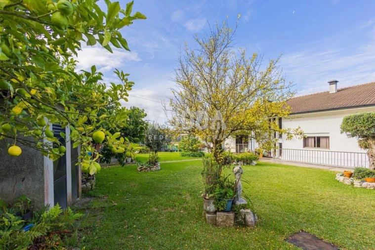 Moradia T4 para Venda em Escapães Foto 34