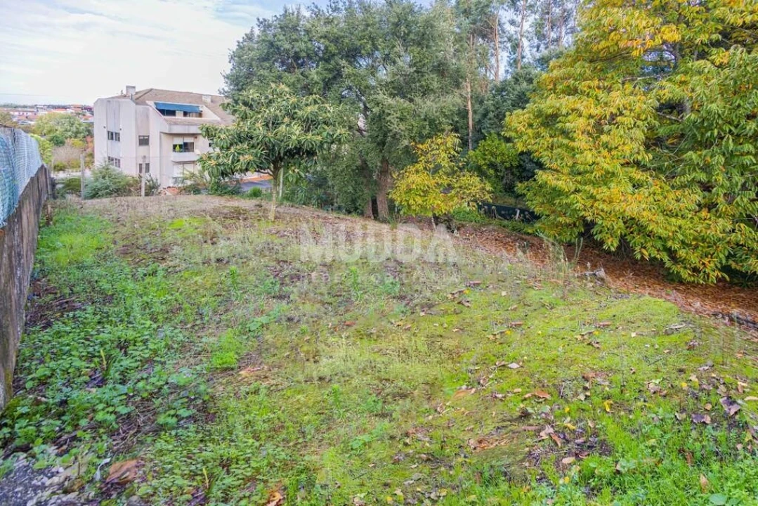 Moradia T4 para Venda em Escapães Foto 42