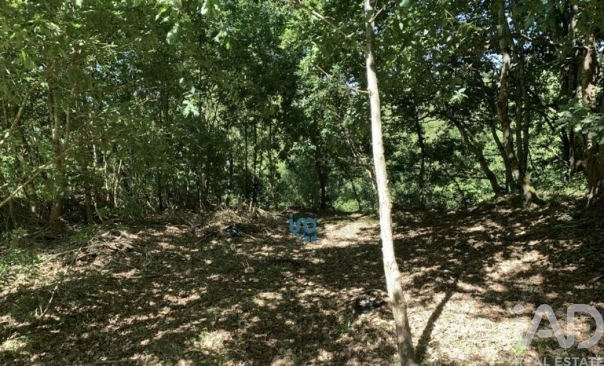 Terreno para Venda em Covas Foto 9