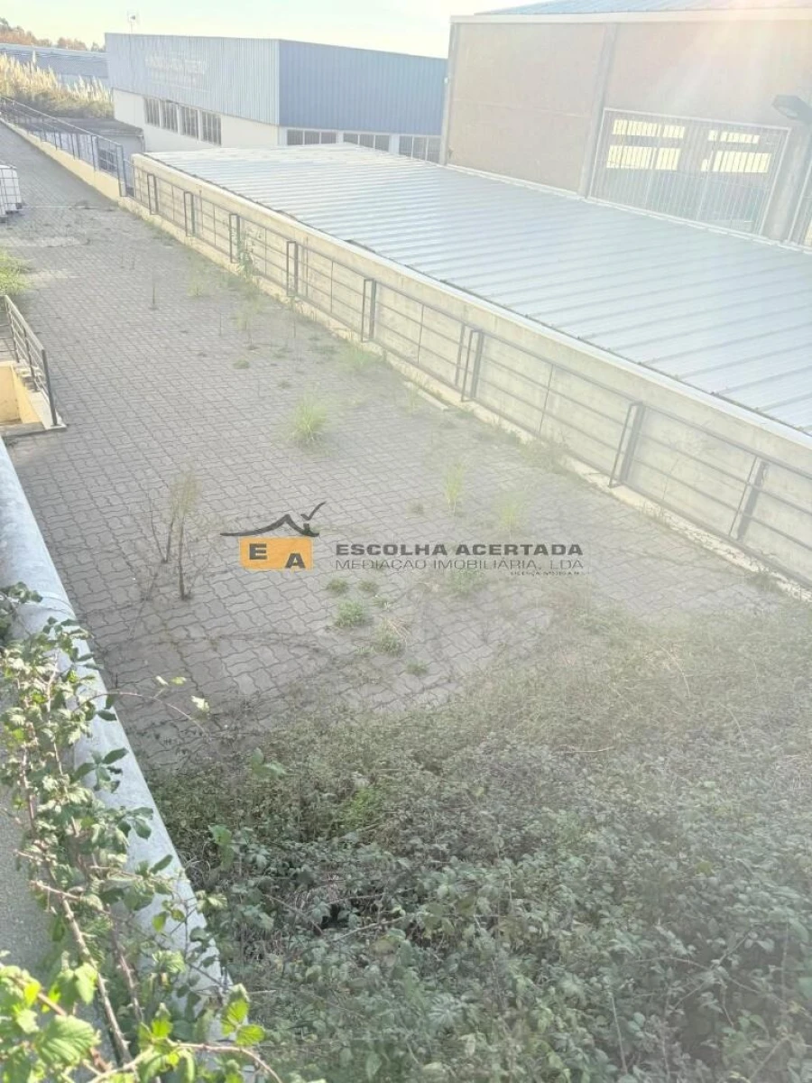 Armazém para Venda em Grijó e Sermonde Foto 12