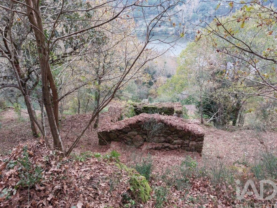 Terreno para Venda em São Cristovão de Nogueira Foto 3