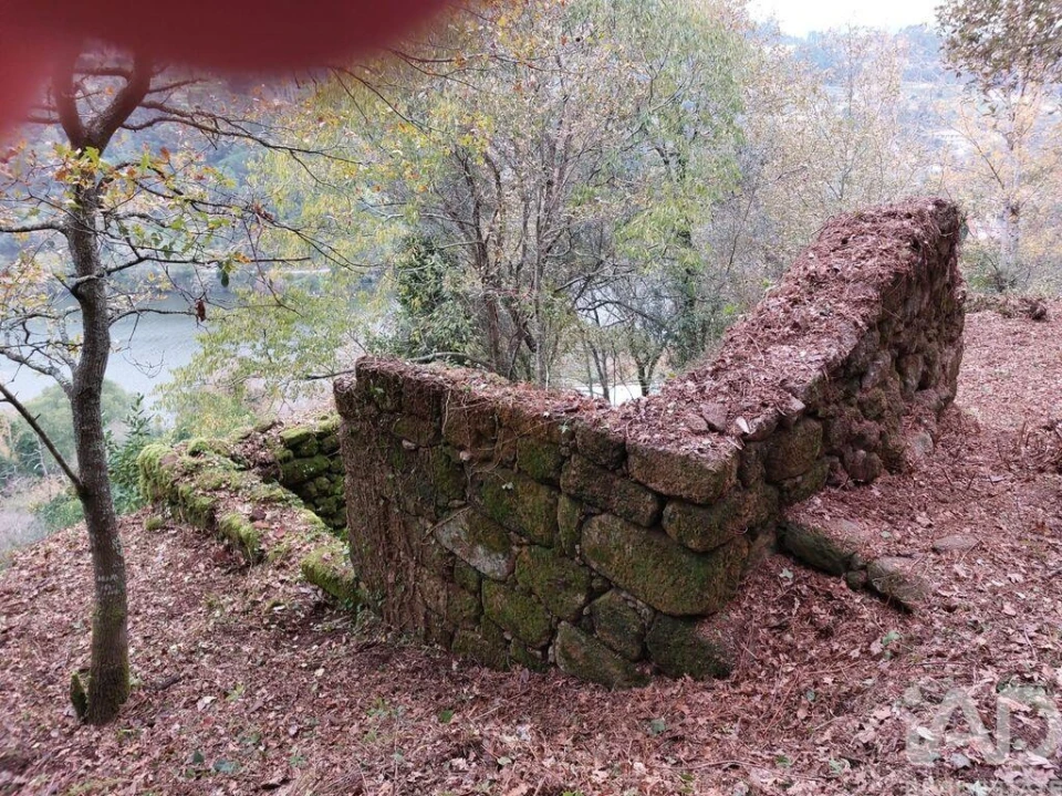 Terreno para Venda em São Cristovão de Nogueira Foto 10