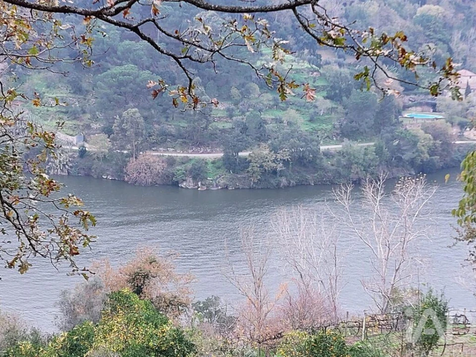 Terreno para Venda em São Cristovão de Nogueira Foto 1