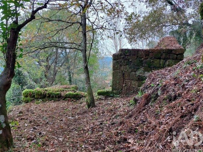 Terreno para Venda em São Cristovão de Nogueira Foto 2