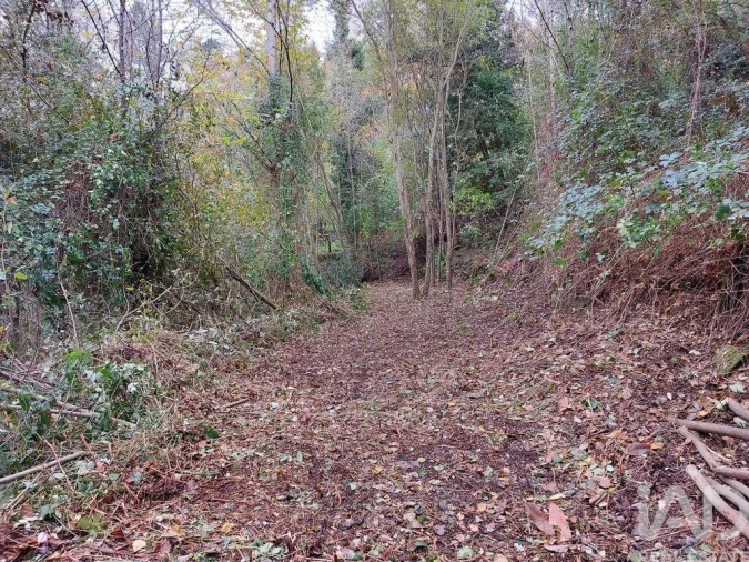 Terreno para Venda em São Cristovão de Nogueira Foto 15