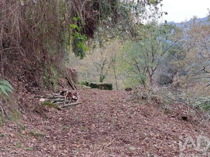 Terreno para Venda em São Cristovão de Nogueira Foto 13