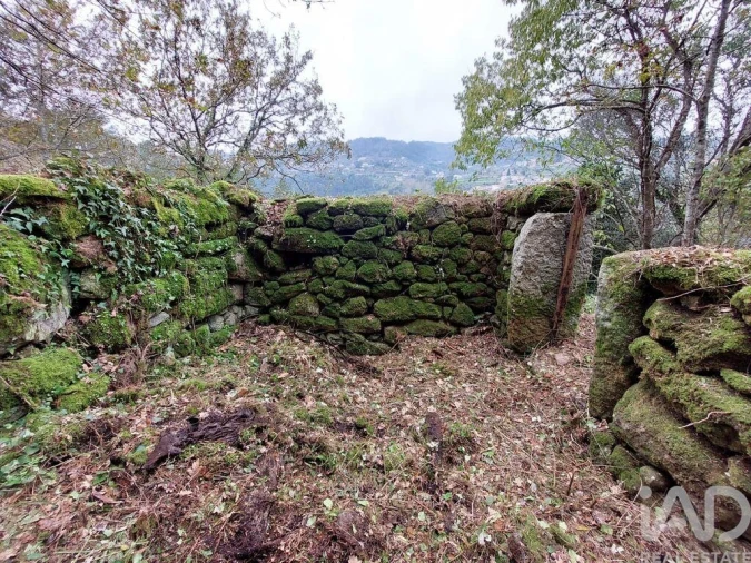 Terreno para Venda em São Cristovão de Nogueira Foto 8