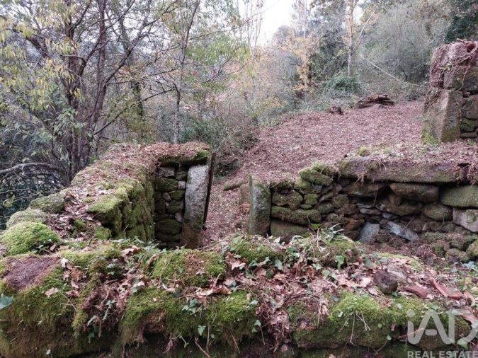 Terreno para Venda em São Cristovão de Nogueira Foto 4
