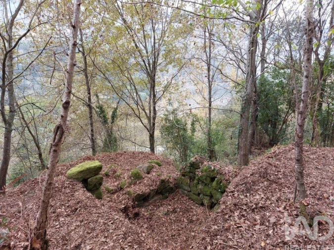 Terreno para Venda em São Cristovão de Nogueira Foto 6