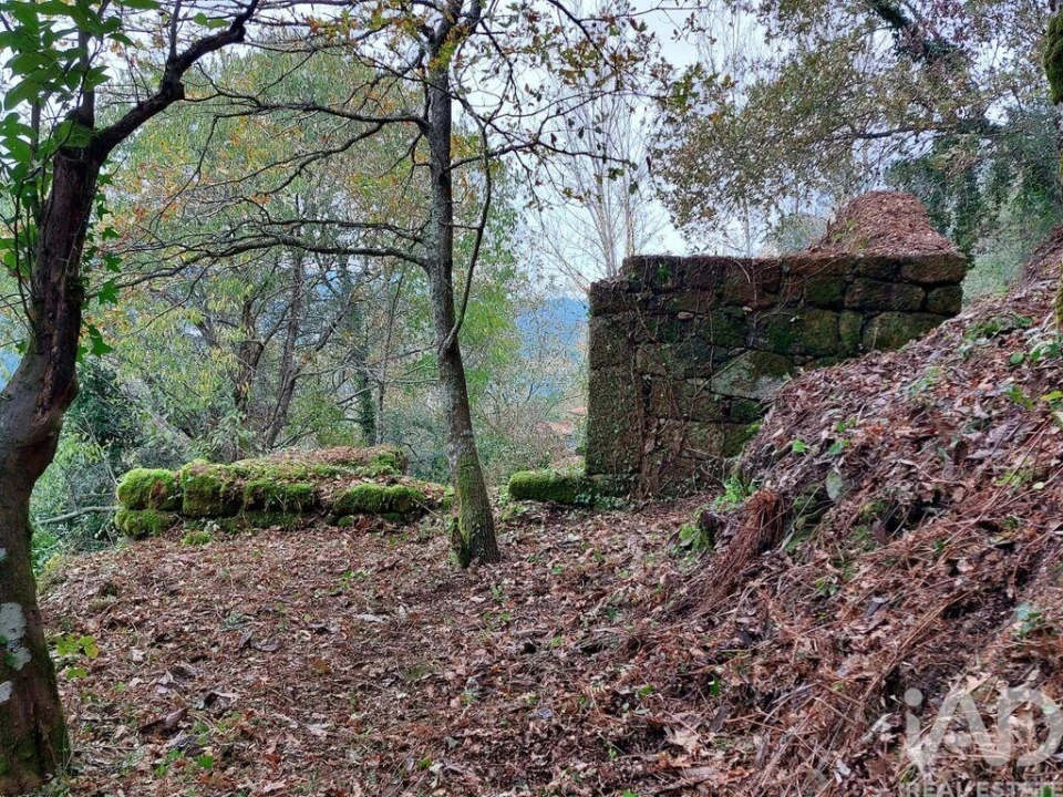 Terreno para Venda em São Cristovão de Nogueira Foto 7