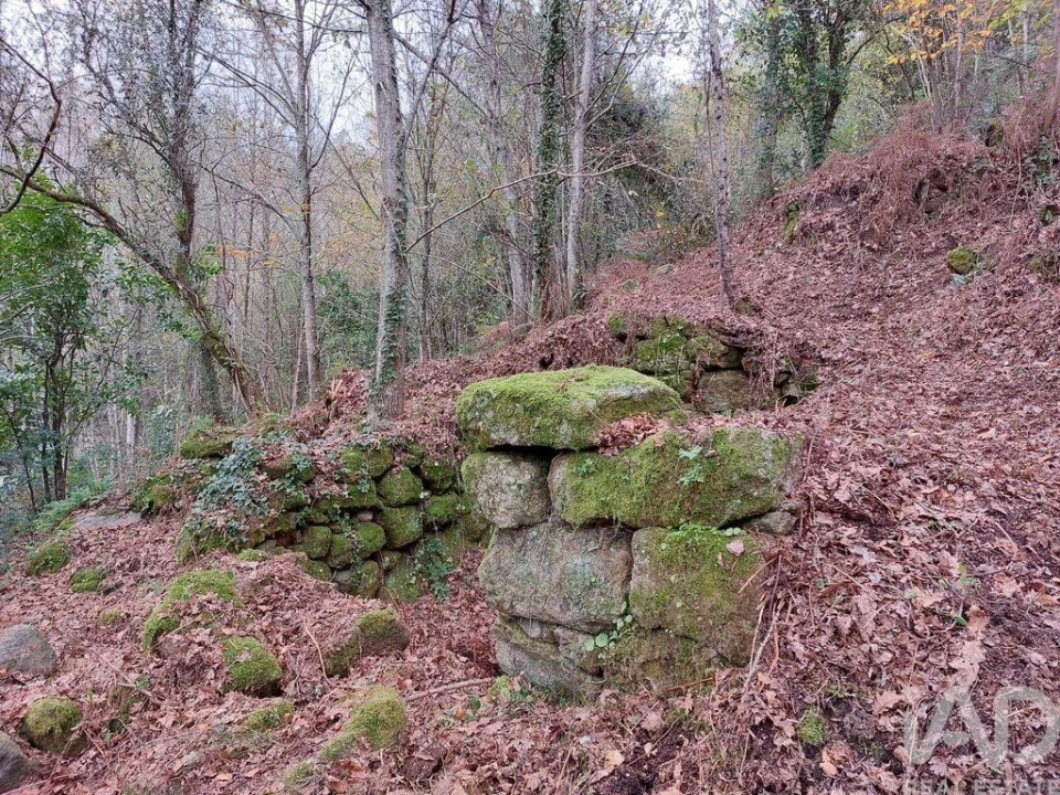 Terreno para Venda em São Cristovão de Nogueira Foto 5