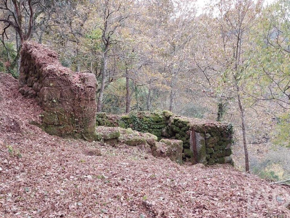 Terreno para Venda em São Cristovão de Nogueira Foto 9