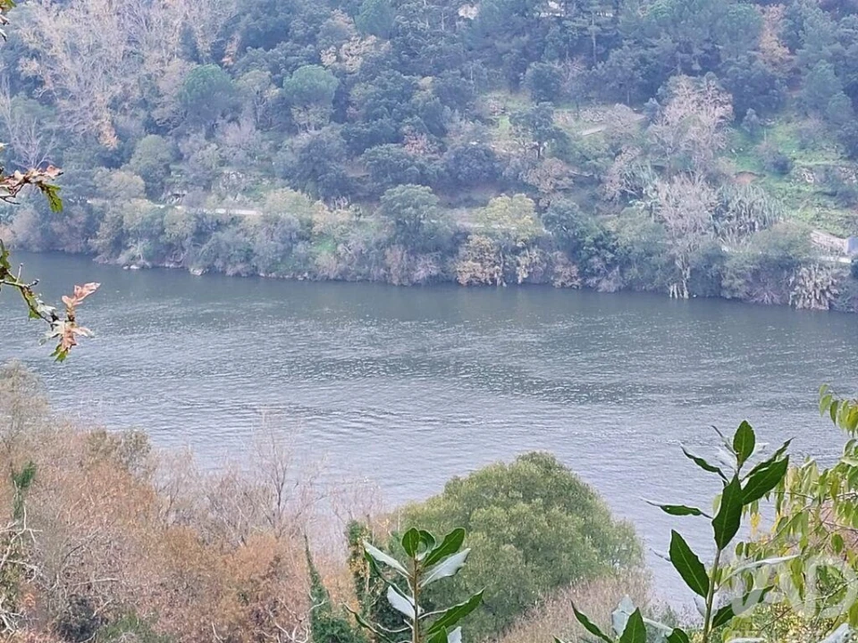 Terreno para Venda em São Cristovão de Nogueira Foto 16