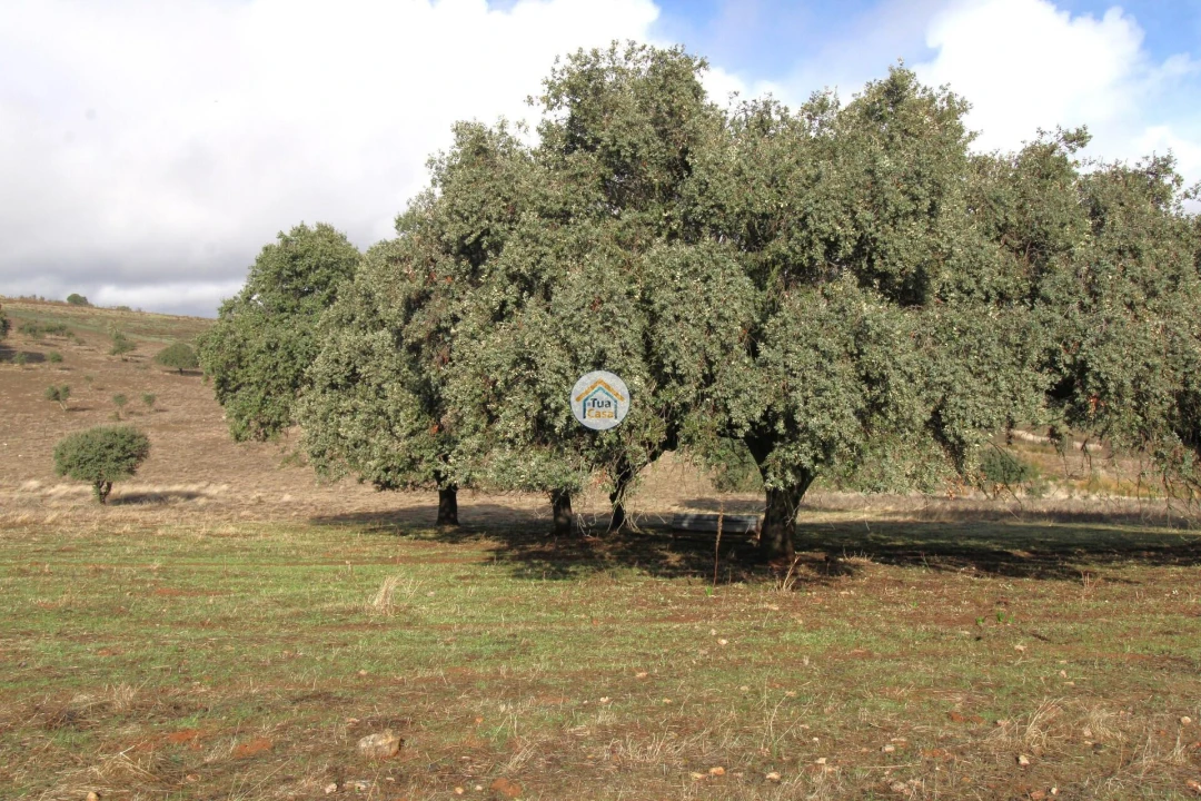 Quinta T3 para Venda em Terena (São Pedro) Foto 44