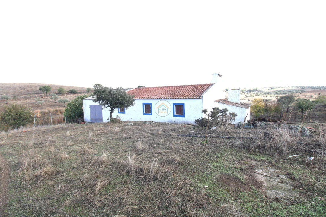 Quinta T3 para Venda em Terena (São Pedro) Foto 1