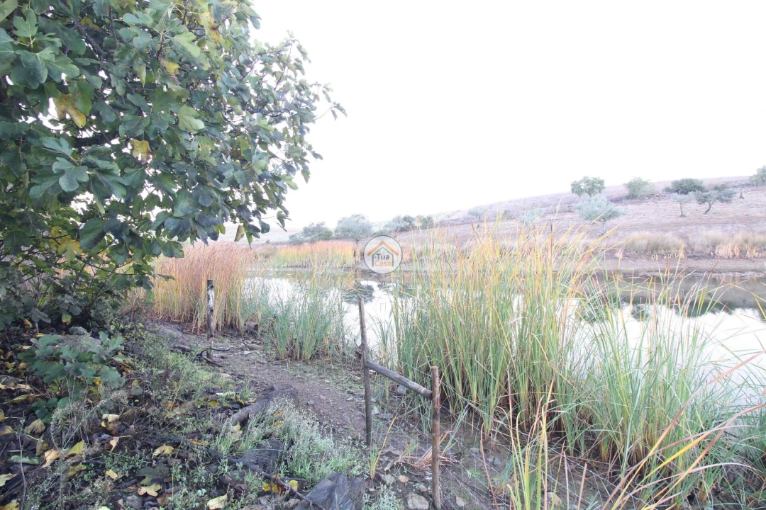 Quinta T3 para Venda em Terena (São Pedro) Foto 9