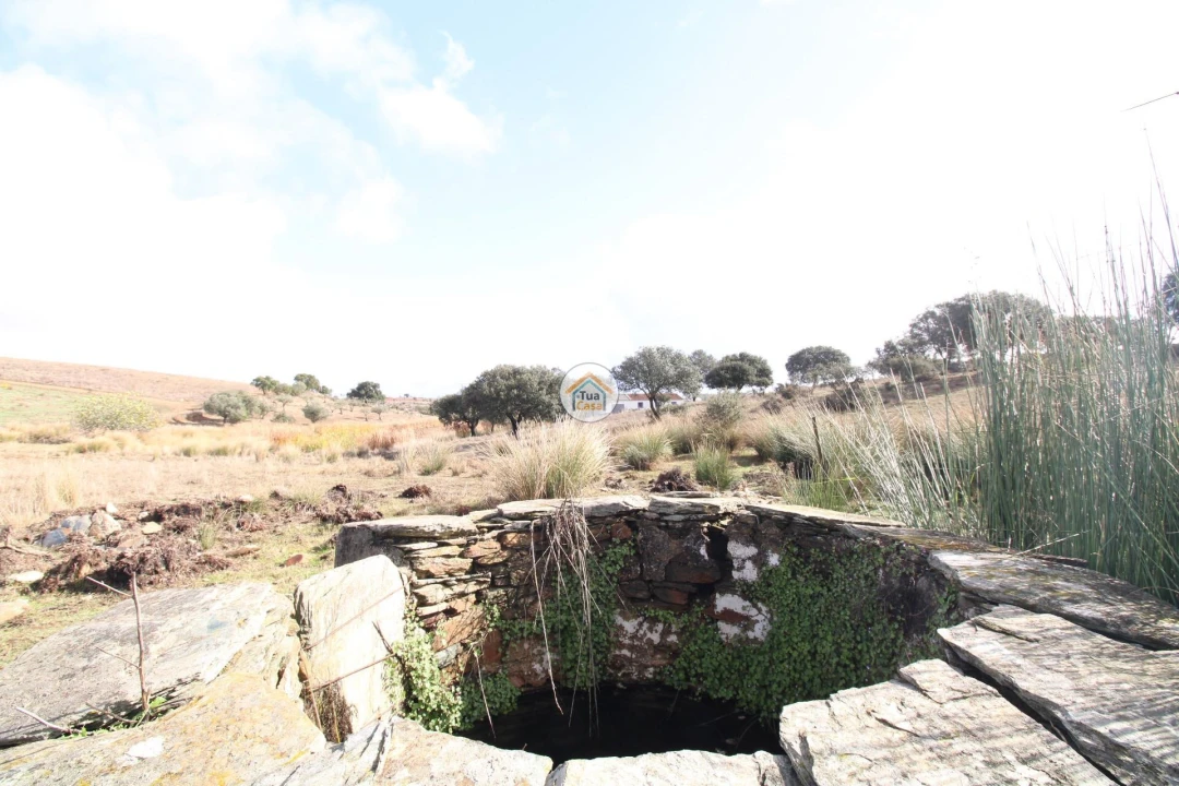Quinta T3 para Venda em Terena (São Pedro) Foto 36
