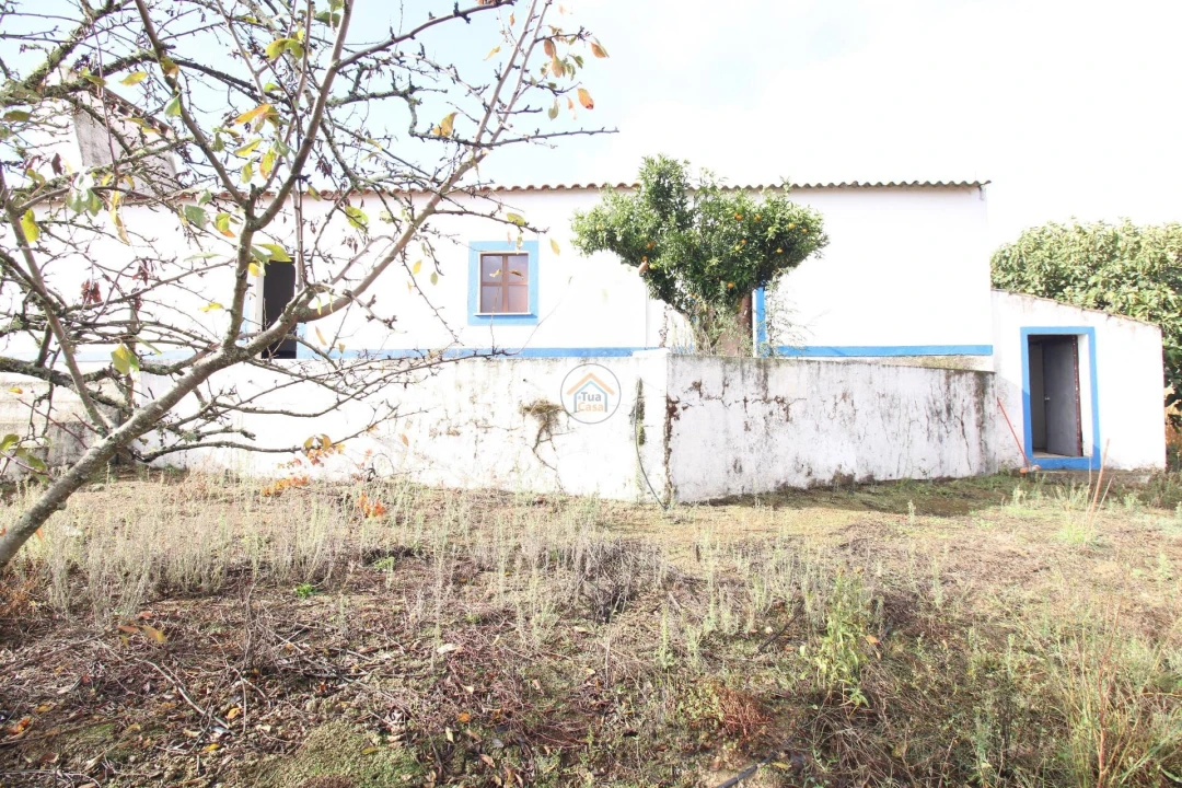 Quinta T3 para Venda em Terena (São Pedro) Foto 2
