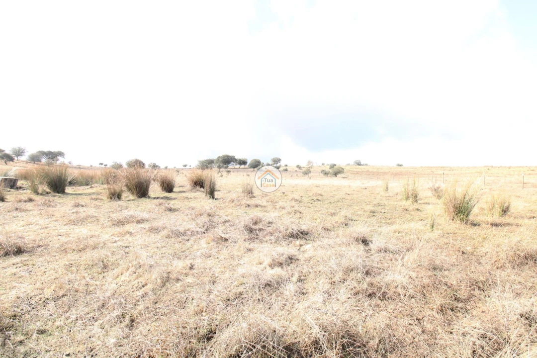 Quinta T3 para Venda em Terena (São Pedro) Foto 17