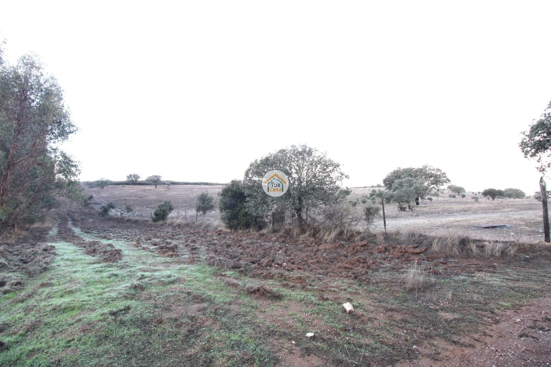 Quinta T3 para Venda em Terena (São Pedro) Foto 39