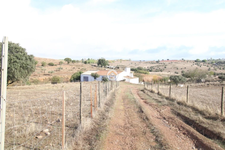 Quinta T3 para Venda em Terena (São Pedro) Foto 37