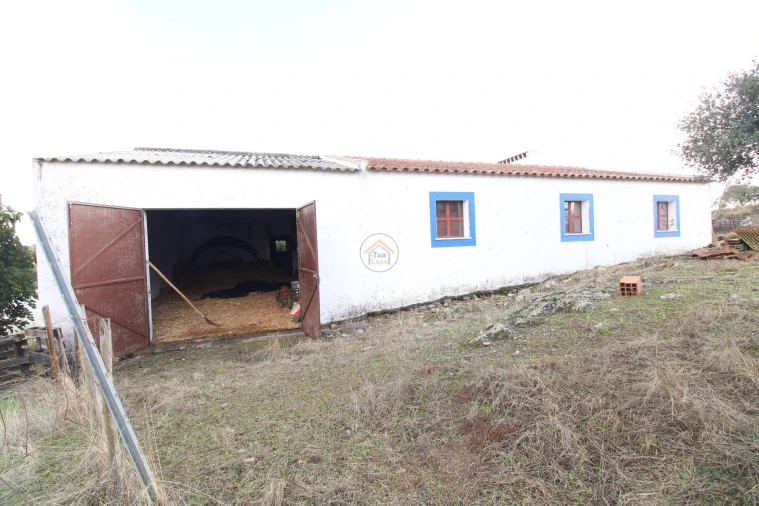 Quinta T3 para Venda em Terena (São Pedro) Foto 35