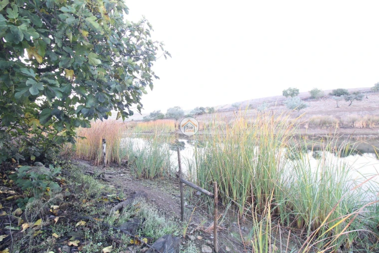 Quinta T3 para Venda em Terena (São Pedro) Foto 9