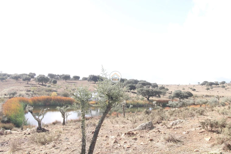 Quinta T3 para Venda em Terena (São Pedro) Foto 12