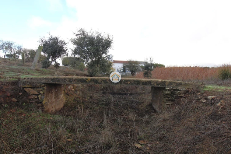 Quinta T3 para Venda em Terena (São Pedro) Foto 5