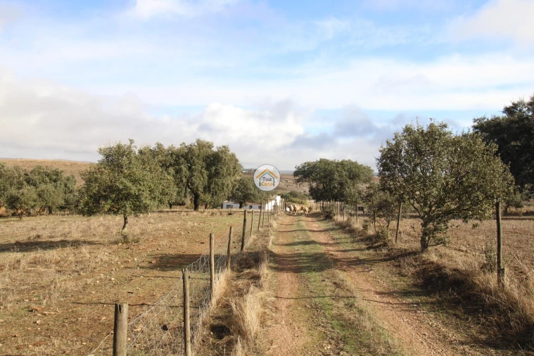 Quinta T3 para Venda em Terena (São Pedro) Foto 45