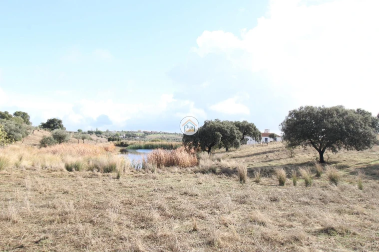 Quinta T3 para Venda em Terena (São Pedro) Foto 15