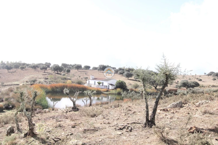 Quinta T3 para Venda em Terena (São Pedro) Foto 13