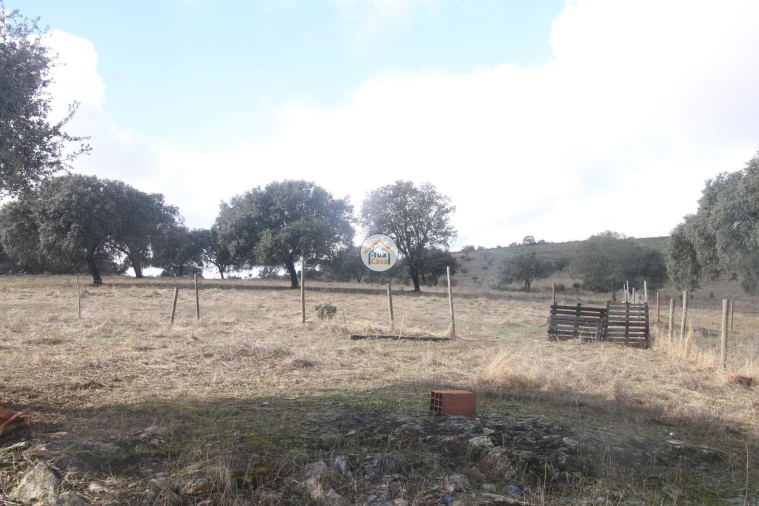 Quinta T3 para Venda em Terena (São Pedro) Foto 31