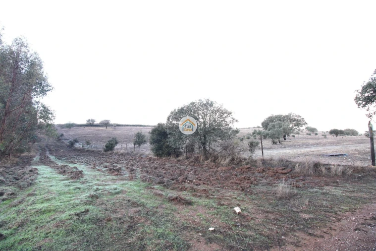 Quinta T3 para Venda em Terena (São Pedro) Foto 39