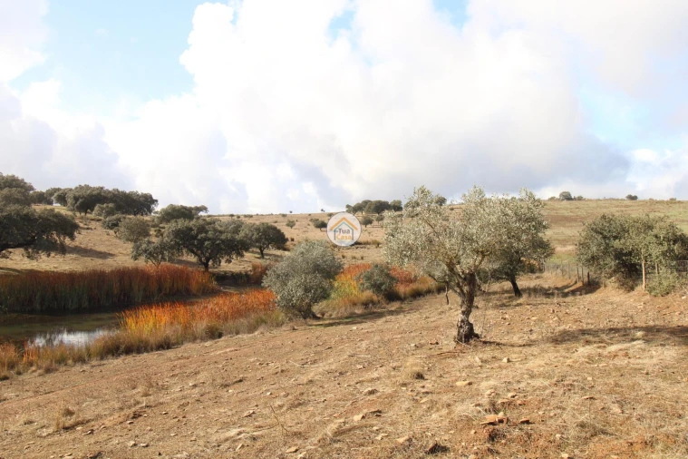 Quinta T3 para Venda em Terena (São Pedro) Foto 49