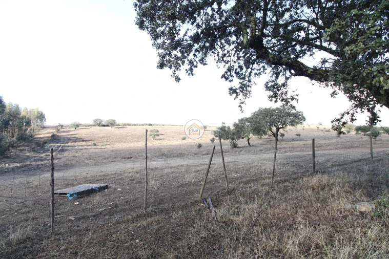 Quinta T3 para Venda em Terena (São Pedro) Foto 41