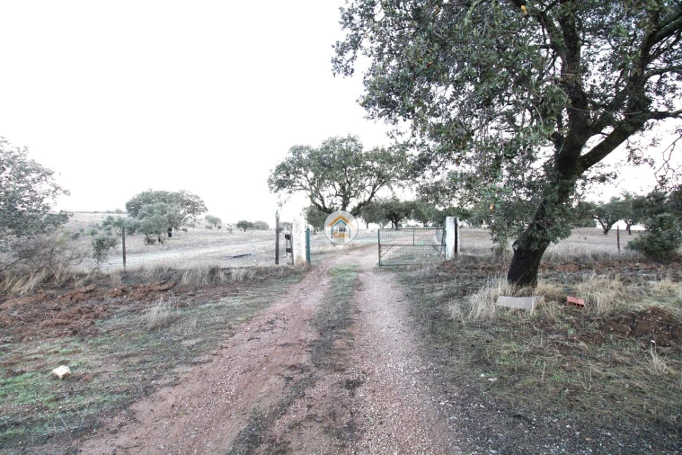Quinta T3 para Venda em Terena (São Pedro) Foto 38