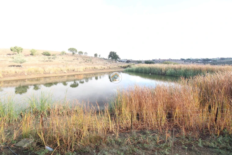 Quinta T3 para Venda em Terena (São Pedro) Foto 8